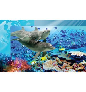 Fototapeta vliesová: Podmořský svět - 184x254 cm