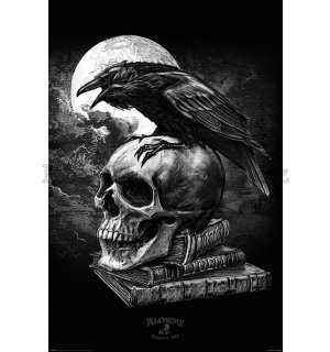 Plakát - Alchemy (Poe's Raven)