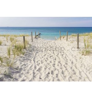 Fototapeta vliesová: Cesta na pláž (3) - 184x254 cm