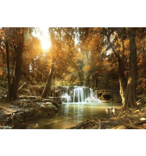 Fototapeta vliesová: Vodopády v lese (1) - 254x368 cm