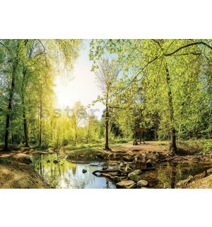 Fototapeta vliesová: Lesní potok (3) - 184x254 cm