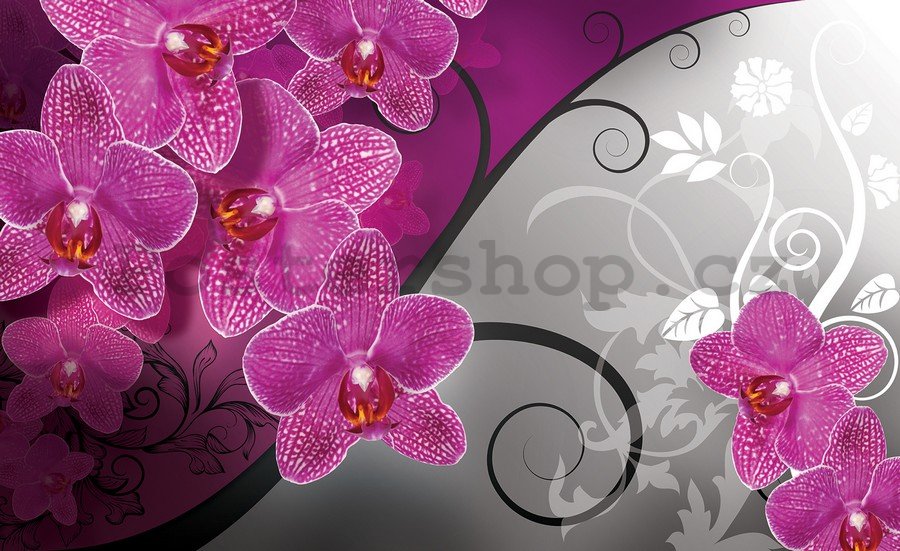 Fototapeta vliesová: Orchideje (3) - 254x368 cm
