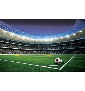 Fototapeta vliesová: Fotbalový stadion (5) - 254x368 cm