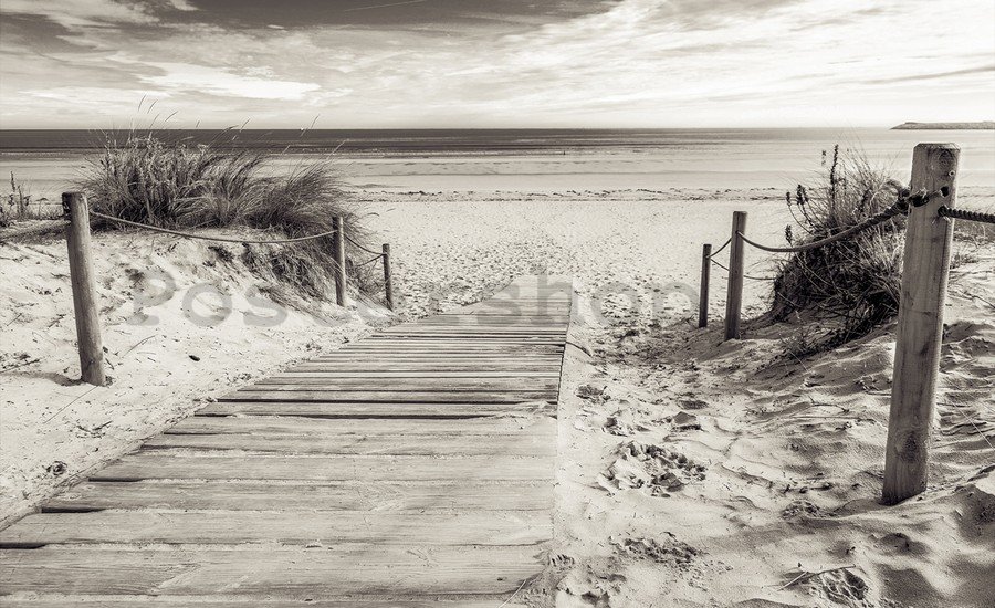 Fototapeta vliesová: Pláž (černobílá) - 254x368 cm