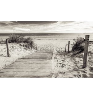Fototapeta vliesová: Pláž (černobílá) - 254x368 cm