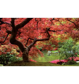 Fototapeta vliesová: Kvetoucí strom - 254x368 cm