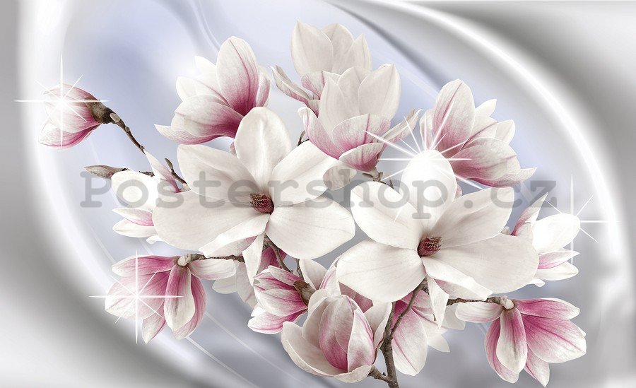 Fototapeta vliesová: Magnolie (1) - 254x368 cm