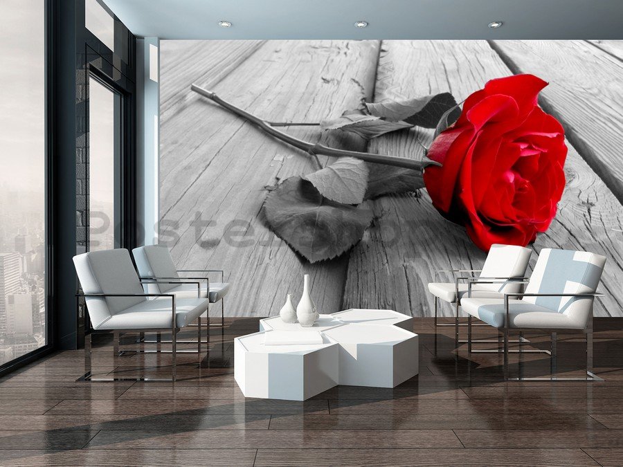 Fototapeta vliesová: Červená růže - 104x152,5 cm