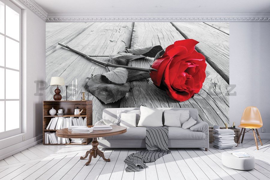 Fototapeta vliesová: Červená růže - 104x152,5 cm