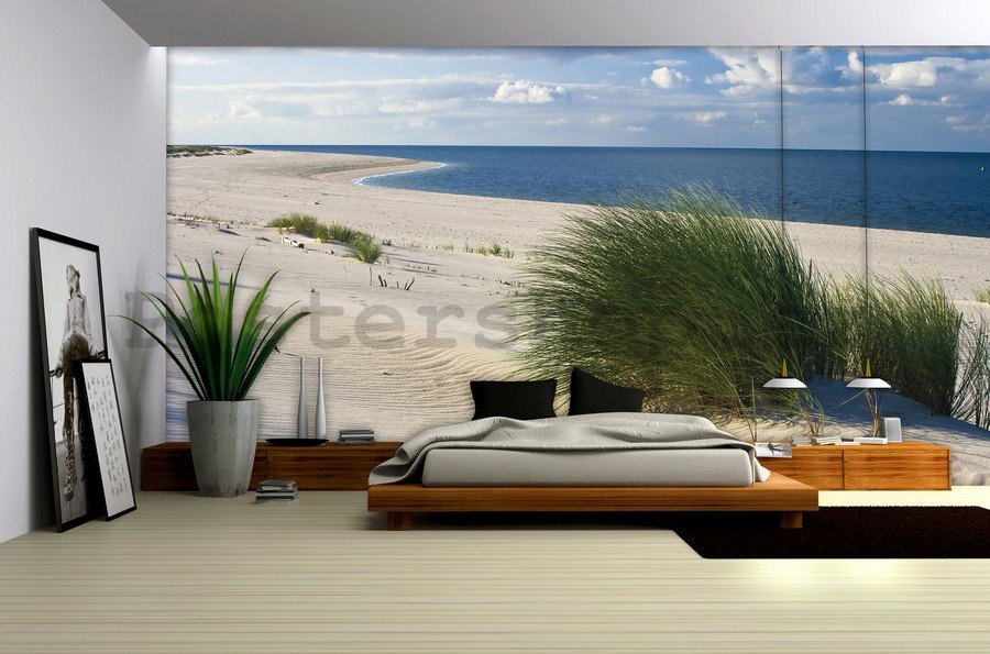 Fototapeta vliesová: Písečná pláž (1) - 254x368 cm