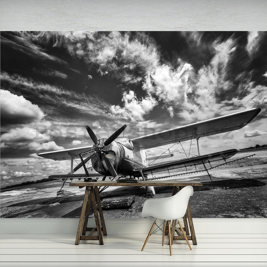 Fototapeta: Dvojplošník (černobílé) - 184x254 cm