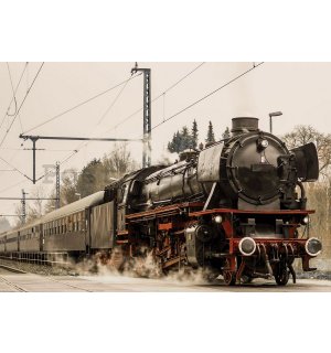 Fototapeta: Parní lokomotiva (1) - 184x254 cm
