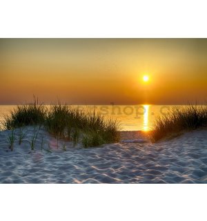 Fototapeta: Západ slunce na pláži (5) - 184x254 cm