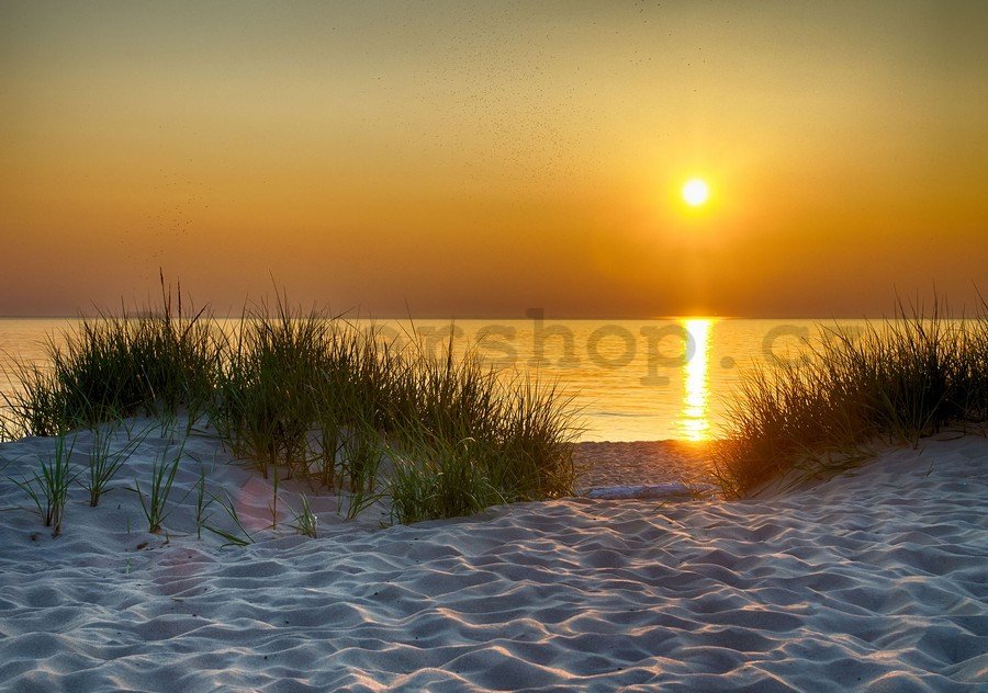 Fototapeta: Západ slunce na pláži (5) - 254x368 cm