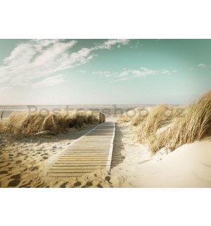 Fototapeta: Cesta na pláž (8) - 184x254 cm
