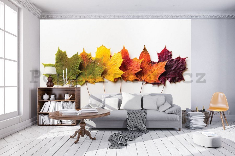Fototapeta: Podzimní listí - 184x254 cm