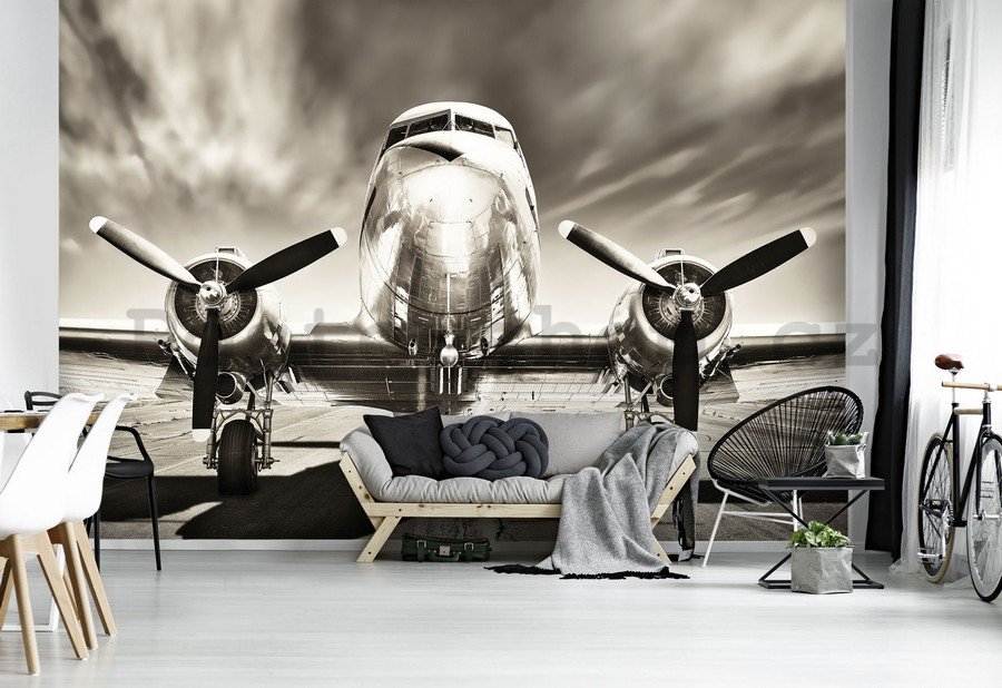 Fototapeta: Letadlo (černobílé) - 184x254 cm