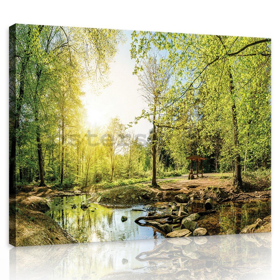 Obraz na plátně: Lesní potok (3) - 75x100 cm