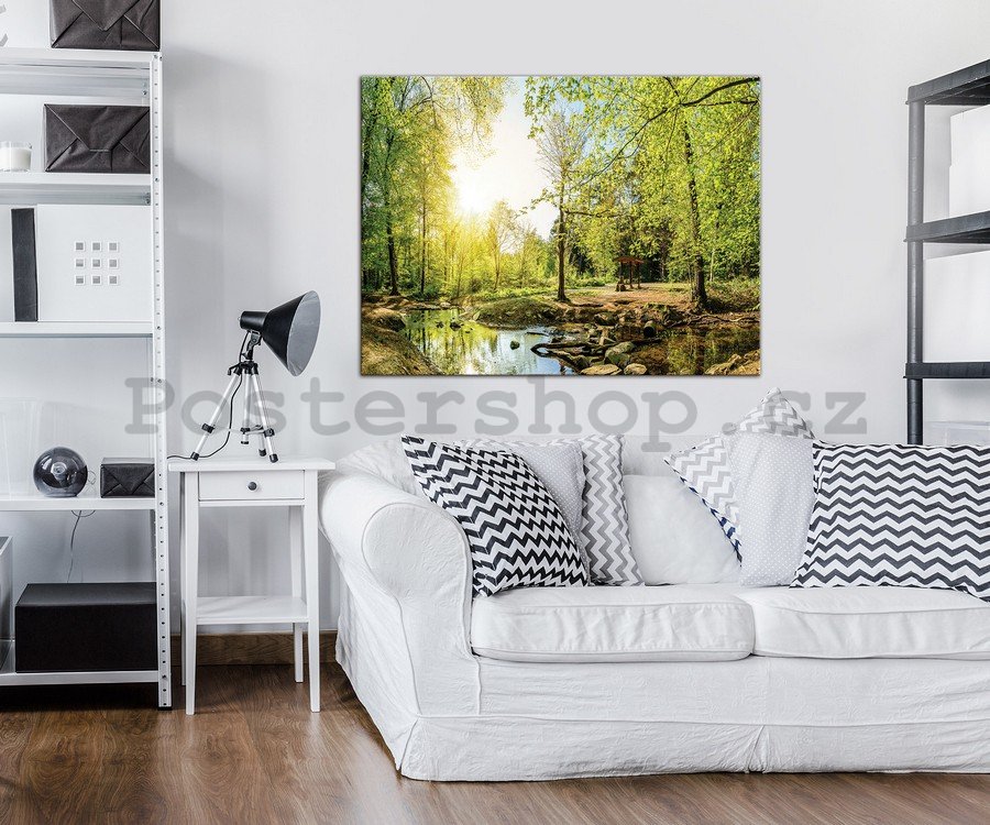 Obraz na plátně: Lesní potok (3) - 75x100 cm