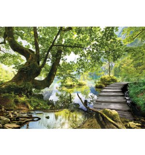 Obraz na plátně: Lesní tůně (3) - 75x100 cm