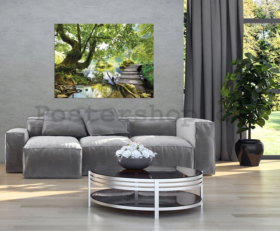 Obraz na plátně: Lesní tůně (3) - 75x100 cm