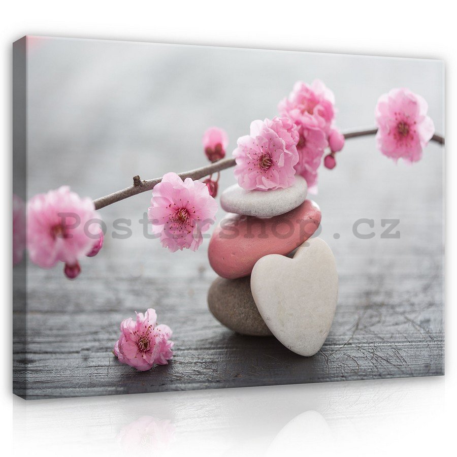 Obraz na plátně: Kvetoucí třešeň a srdce - 75x100 cm