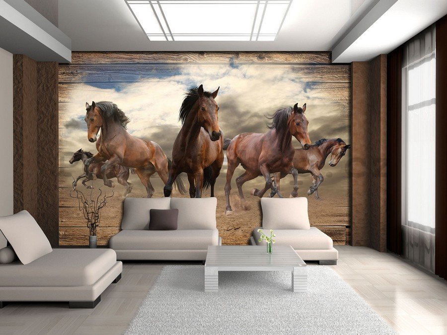 Fototapeta vliesová: Koně (3) - 184x254 cm