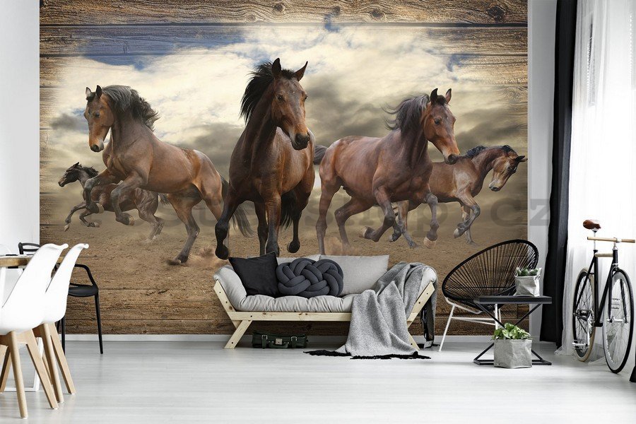 Fototapeta vliesová: Koně (3) - 184x254 cm