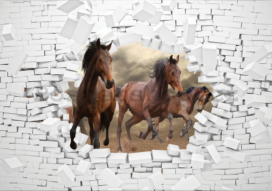 Fototapeta vliesová: Koně ve zdi - 184x254 cm