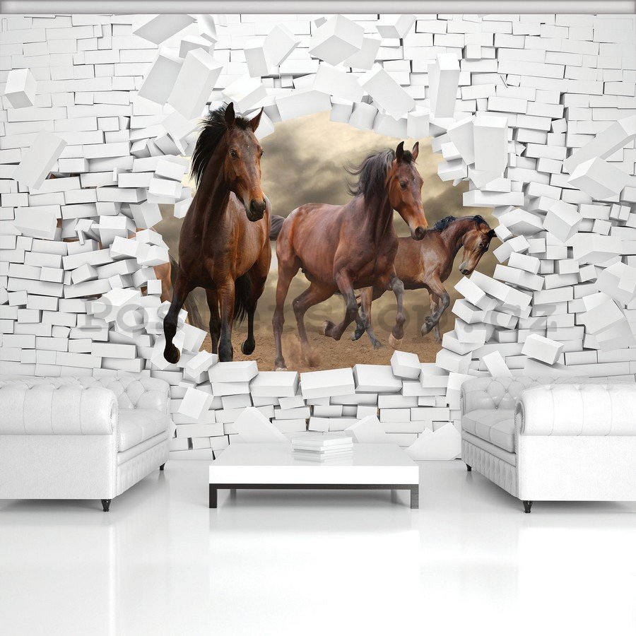Fototapeta vliesová: Koně ve zdi - 184x254 cm