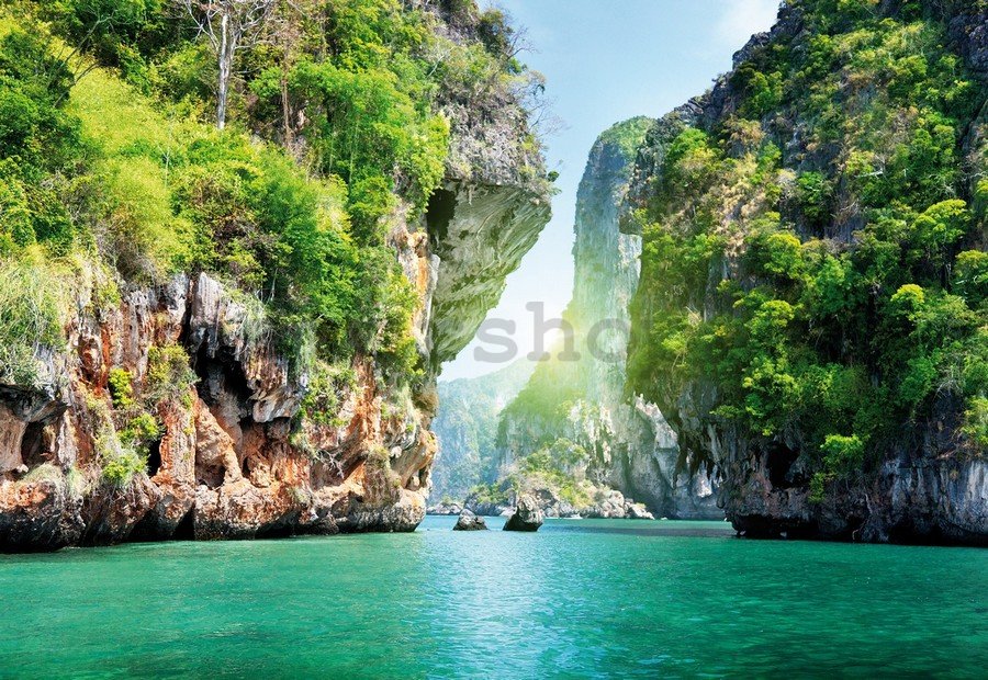 Fototapeta vliesová: Thajsko (1) - 254x368 cm