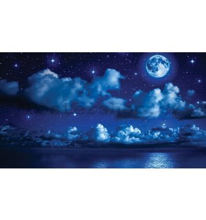 Fototapeta vliesová: Měsíční noc - 184x254 cm