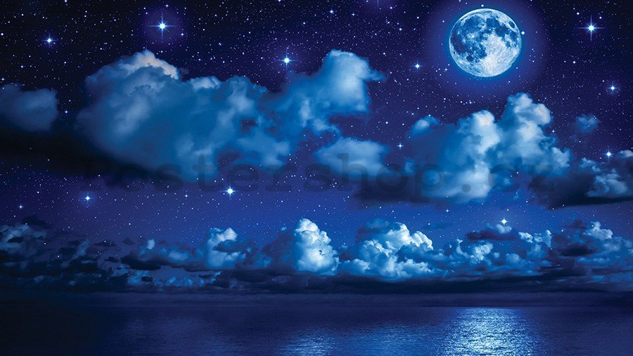 Fototapeta vliesová: Měsíční noc - 254x368 cm