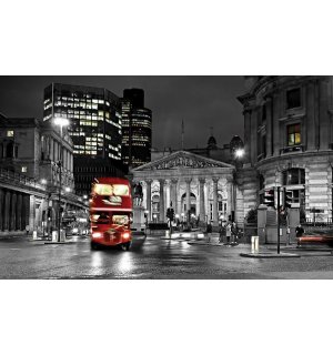 Fototapeta vliesová: Londýn - 184x254 cm