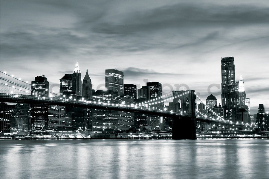 Fototapeta vliesová: Brooklyn Bridge (černobílý) - 254x368 cm