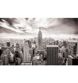 Fototapeta vliesová: Pohled na New York (černobílá) - 254x368 cm