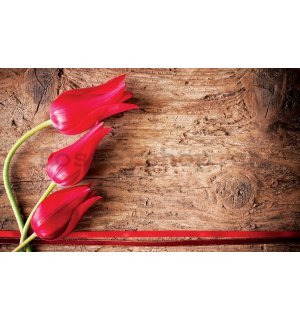 Fototapeta vliesová: Červené tulipány (2)  - 184x254 cm