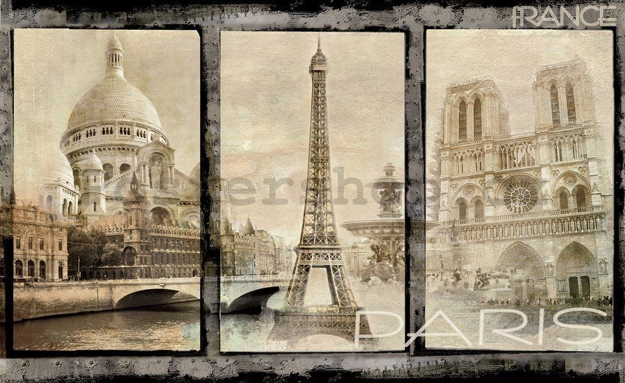 Fototapeta vliesová: Paříž (dominanty) - 184x254 cm