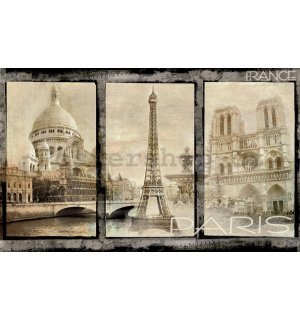 Fototapeta vliesová: Paříž (dominanty) - 184x254 cm