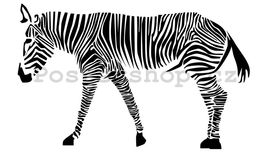 Samolepka na zeď - Zebra (2)