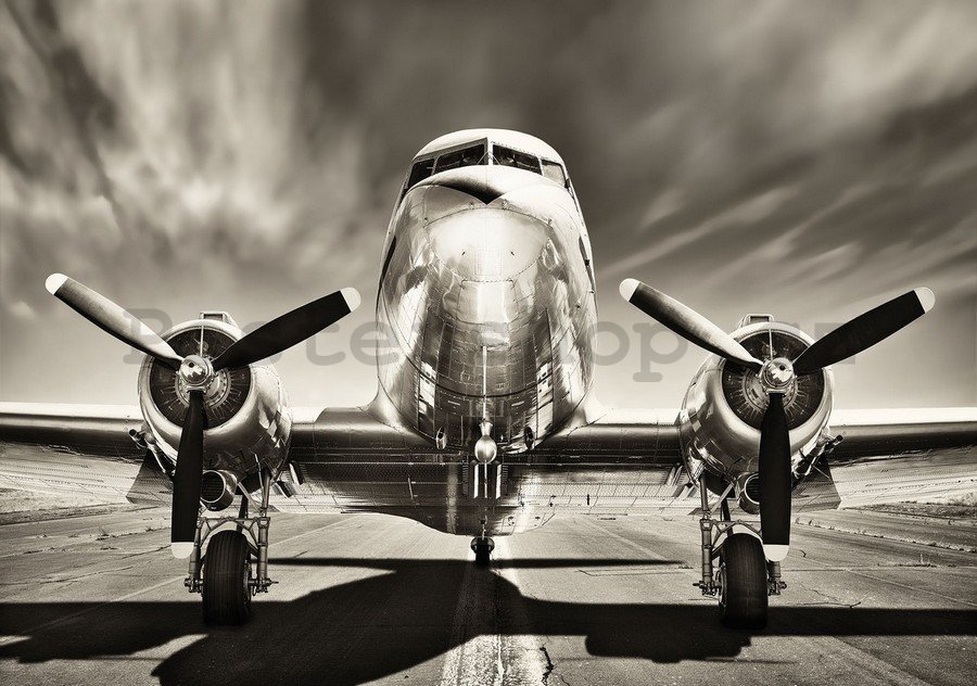 Fototapeta vliesová: Letadlo (černobílé) - 254x368 cm