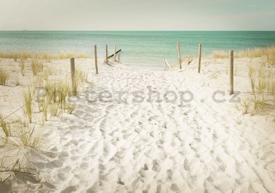 Fototapeta vliesová: Cesta na pláž (11) - 254x368 cm
