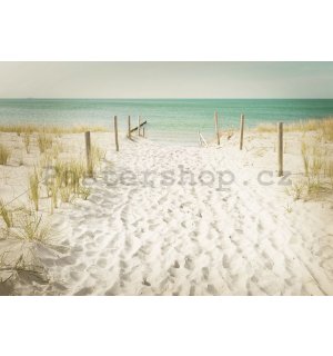 Fototapeta vliesová: Cesta na pláž (11) - 254x368 cm
