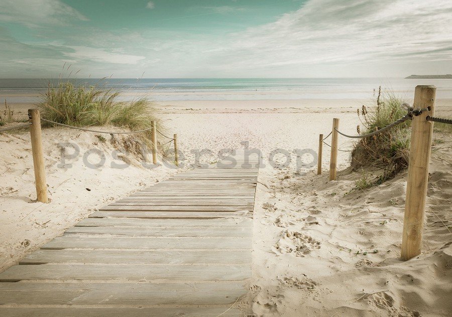 Fototapeta vliesová: Cesta na pláž (10) - 184x254 cm