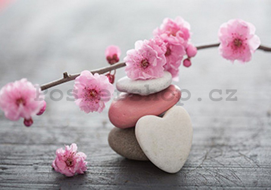 Fototapeta vliesová: Kvetoucí třešeň a srdce - 184x254 cm