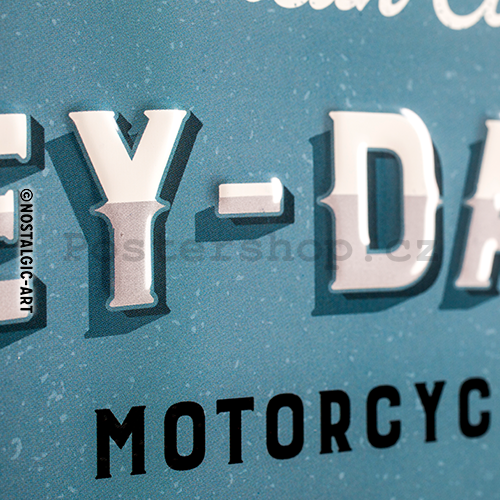Plechová cedule: Harley-Davidson (Free Spirit Riders) - 30x40 cm