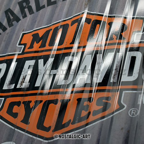 Plechová cedule: Harley-Davidson (metal genuine) - 40x30 cm