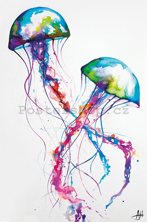 Plakát - Jellyfish, Marc Allante