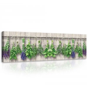 Obraz na plátně: Levandule a bylinky - 145x45 cm