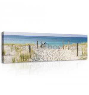 Obraz na plátně: Cesta na pláž (3) - 145x45 cm